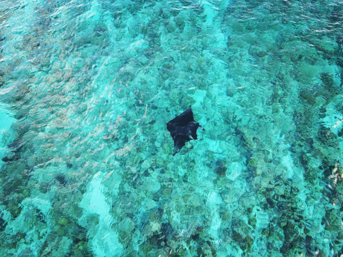 Ramzu Villa Thoddoo-Atoll Exterior foto