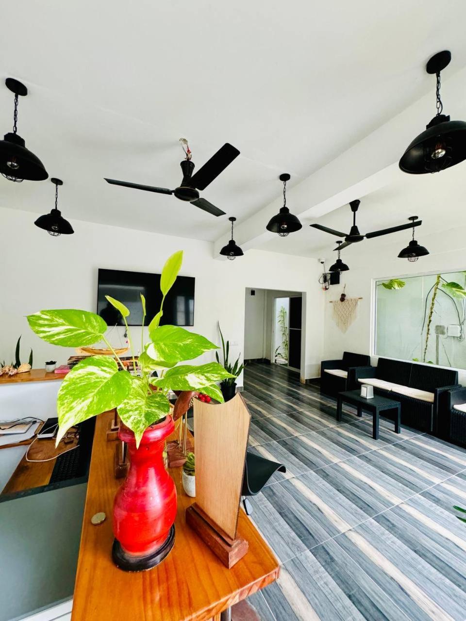 Ramzu Villa Thoddoo-Atoll Exterior foto